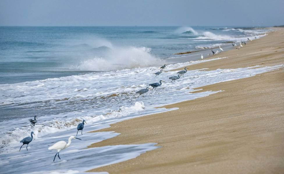 Madhavpur Beach Gujarat