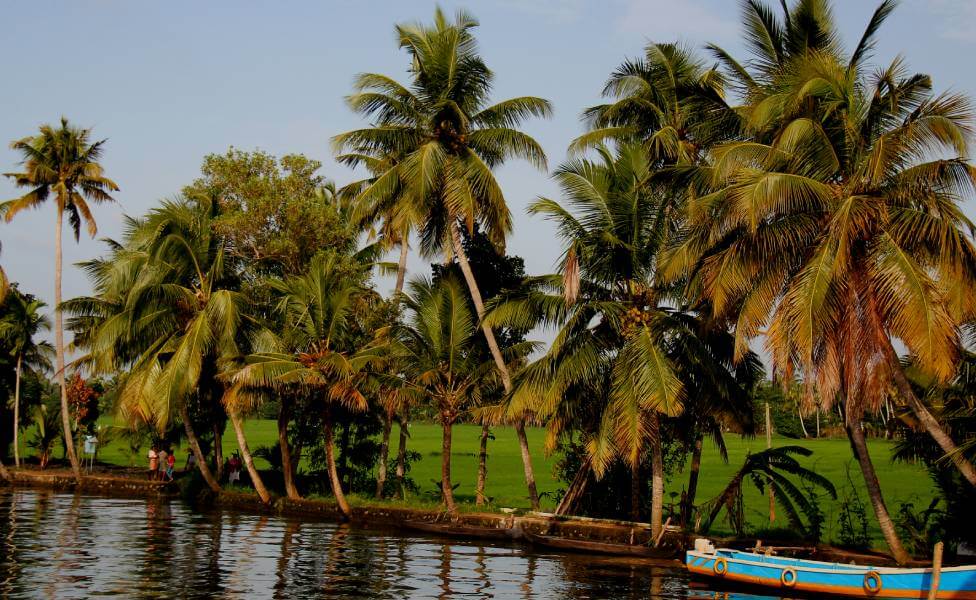 Backwater Tourism Kerala South India
