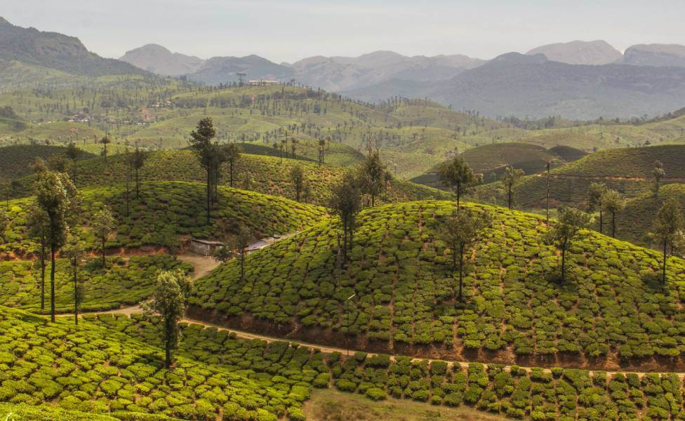 Valparai Hill Station