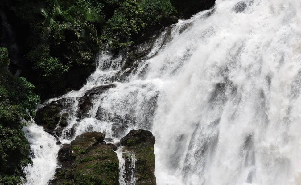 Cheeyappara Waterfalls Munnar