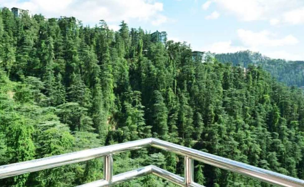Kiala Forest Shimla