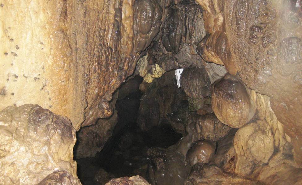Mawsmai Cave Meghalaya