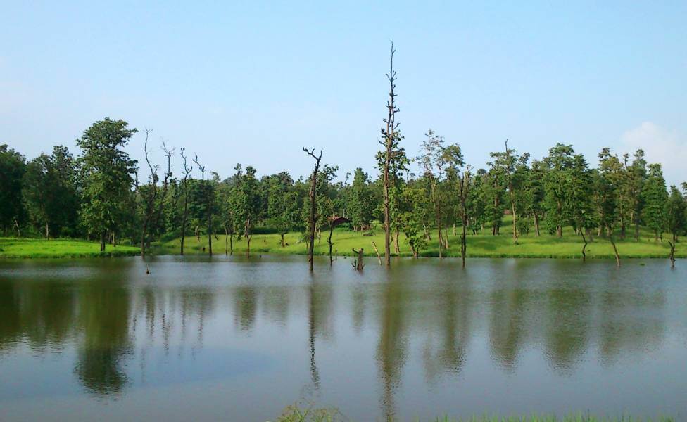 Purna Wildlife Sanctuary Gujrat India