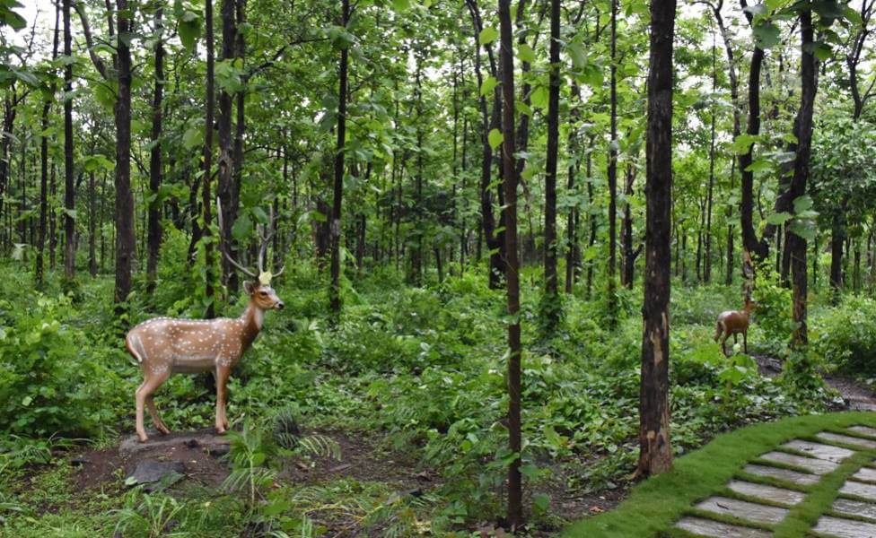 Vansda National Park Gujarat