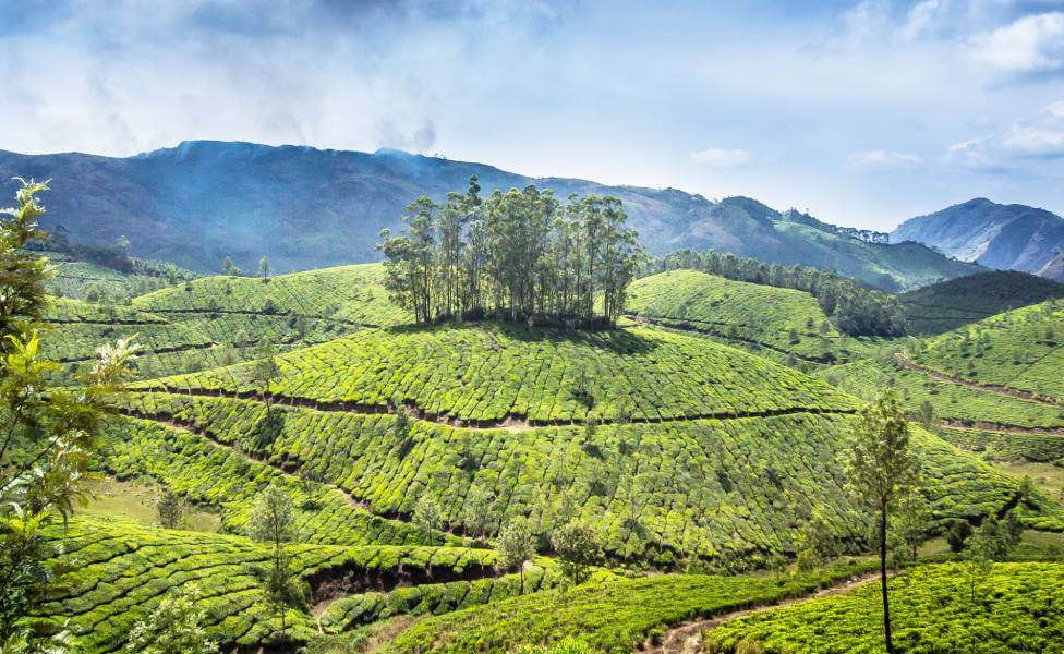 Devikulam Hill Station Kerala