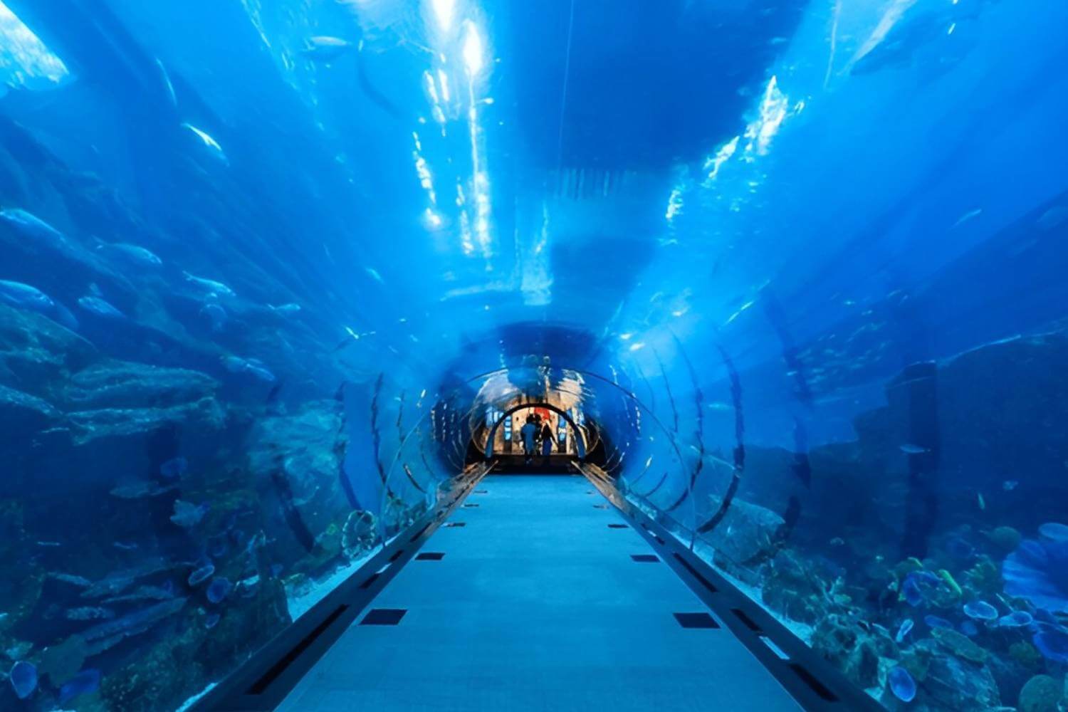 Dubai Tourism - Dubai Aquarium- Must Visit Place