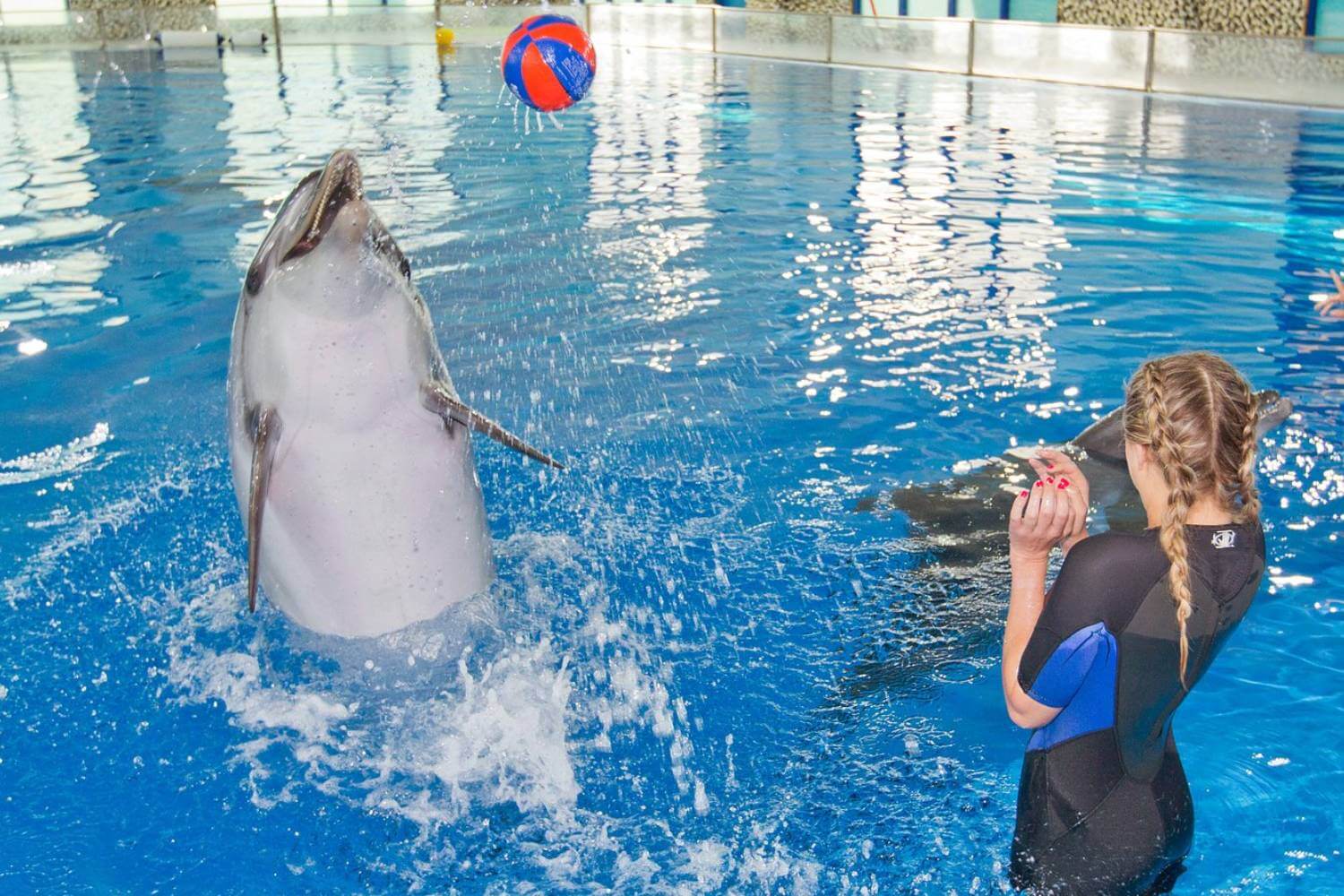 Dubai Dolphinarium - Dubai Tourism