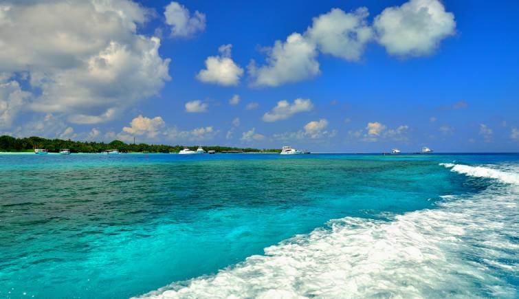 Lily Beach Island Maldives