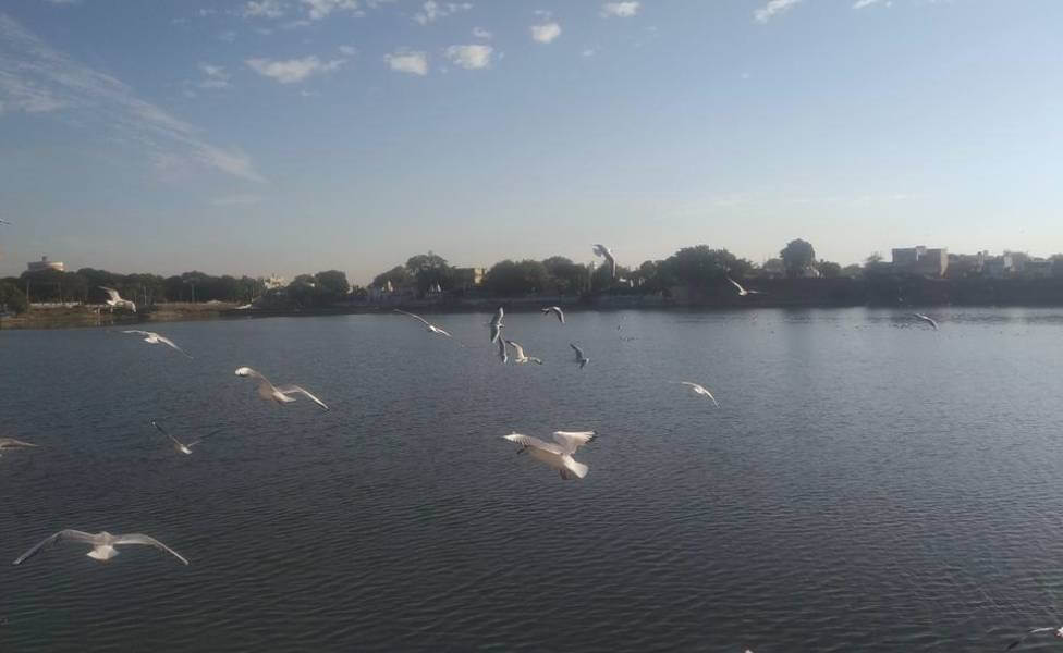 Topansar Lake Kutch