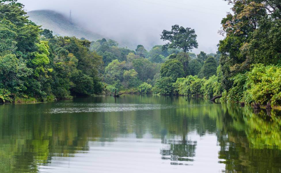 Gavi Forest Kerala