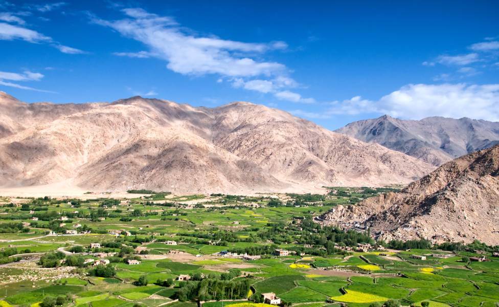 Ladakh Valley