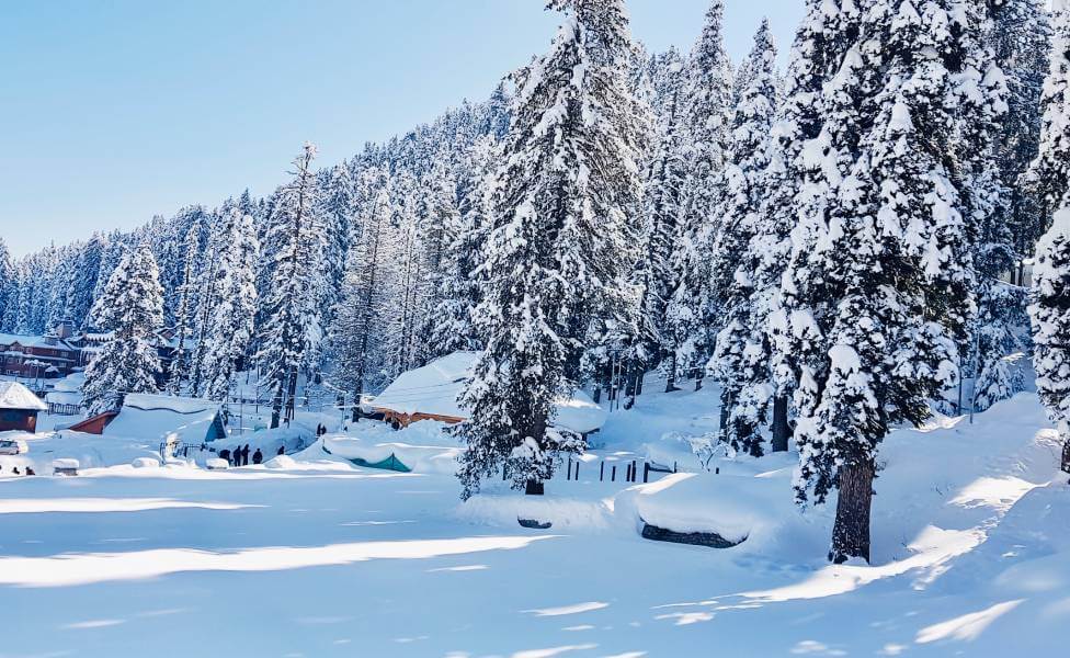 Gulmarg Snow