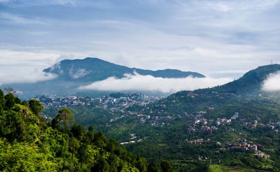 Nature Walk in Himachal