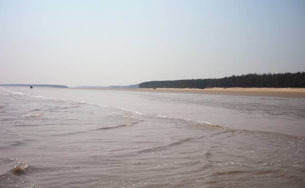 Digha Beach West Bengal