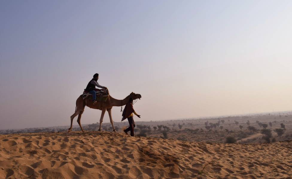Bikaner Camel Safari