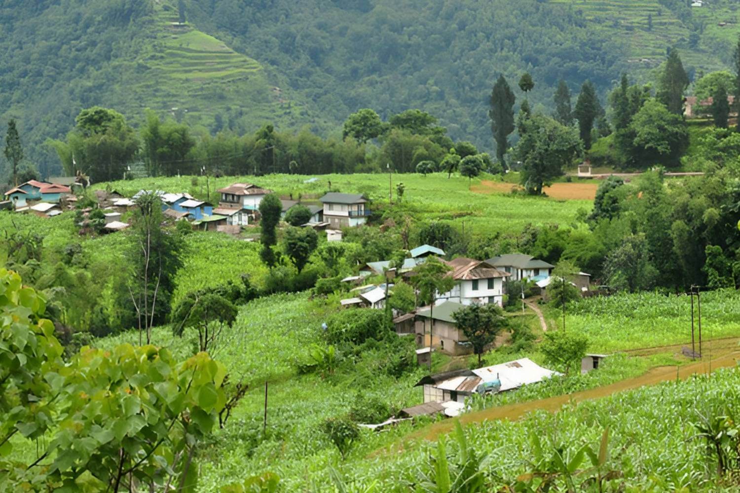 Darap Village Trek- Trekking in Sikkim