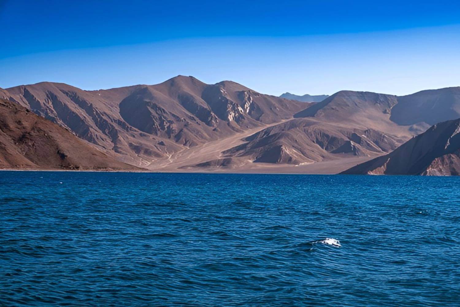 Pangong Lake Ladakh- Best Places to Visit in Ladakh