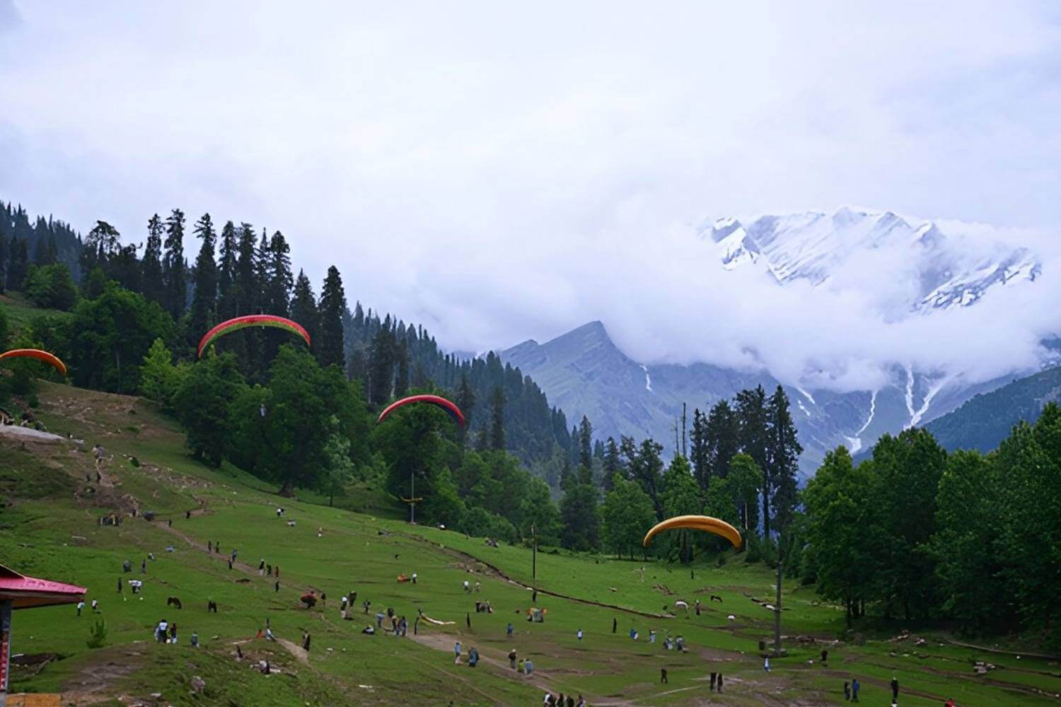 Himachal Paragliding