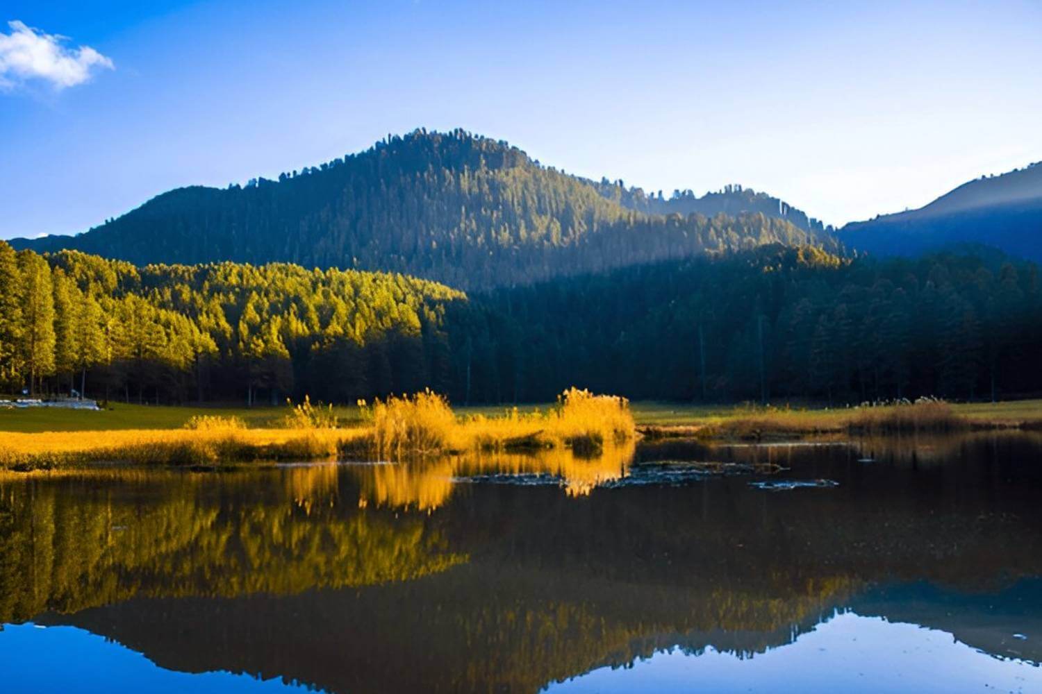 Khajjair Wildlife Sanctuary Himachal