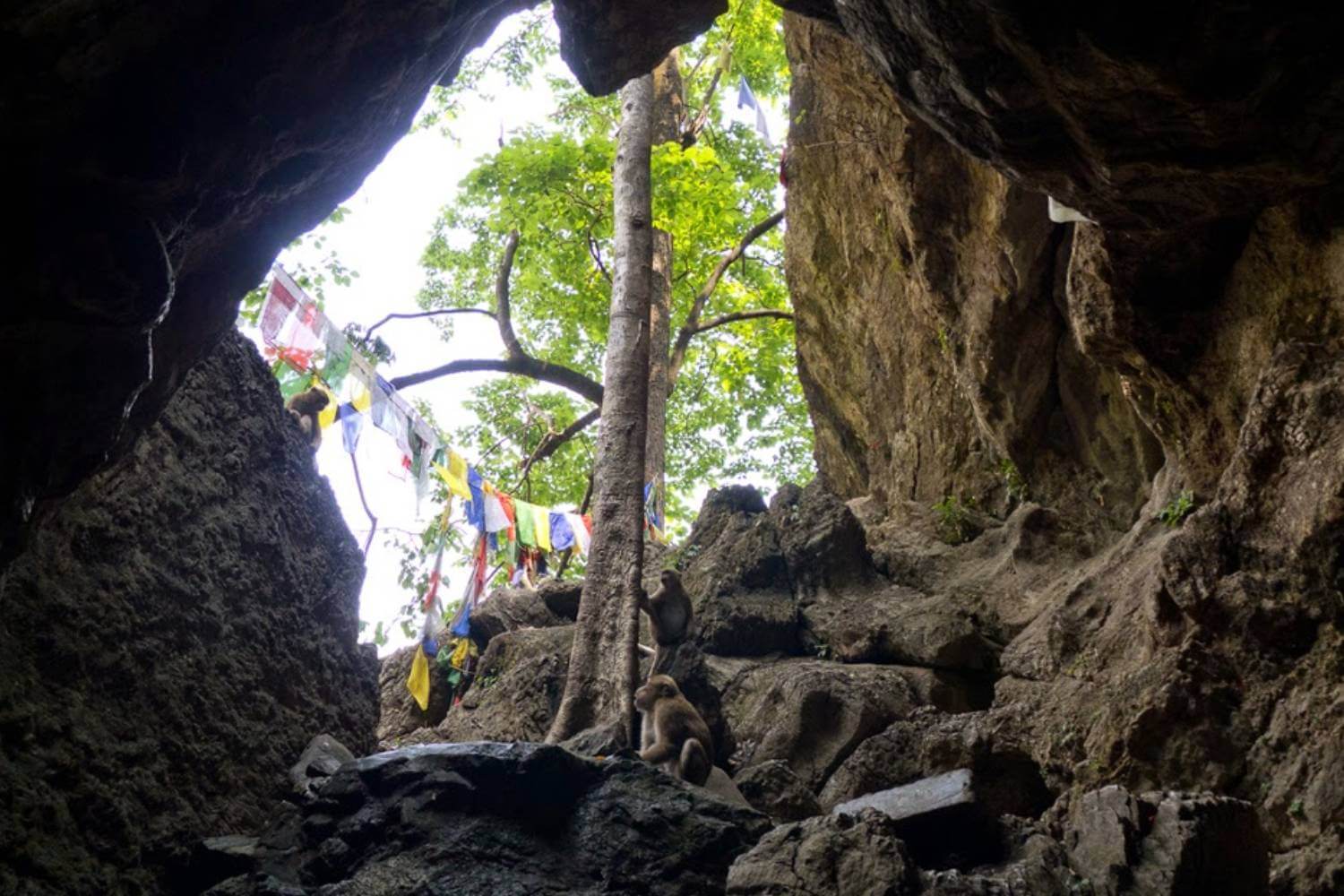 Sikkim Cave