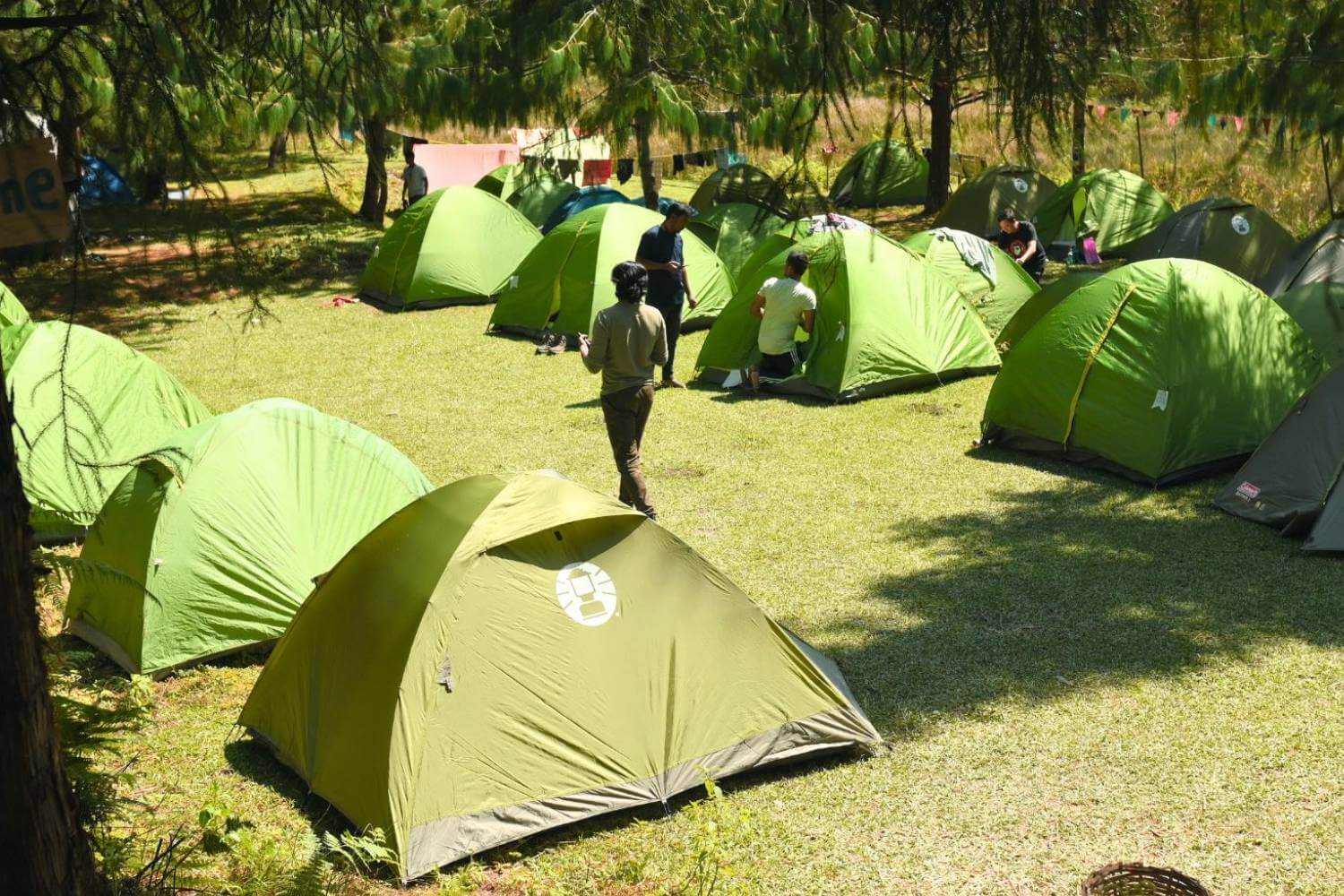 Accommodation Options in Ziro Valley