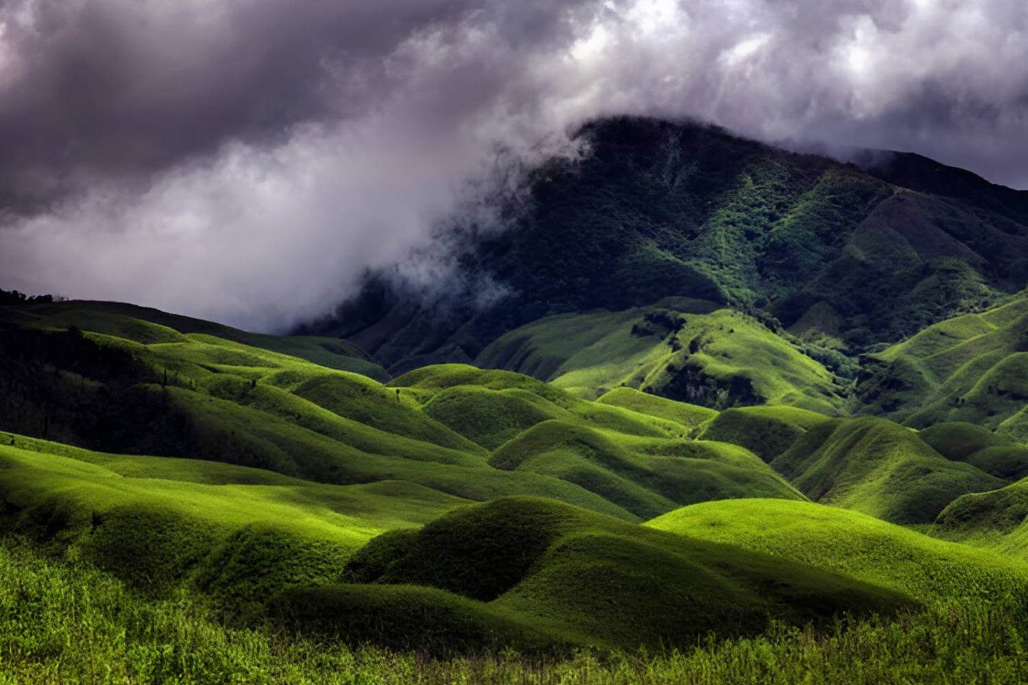 Dzukou Valley Nagaland