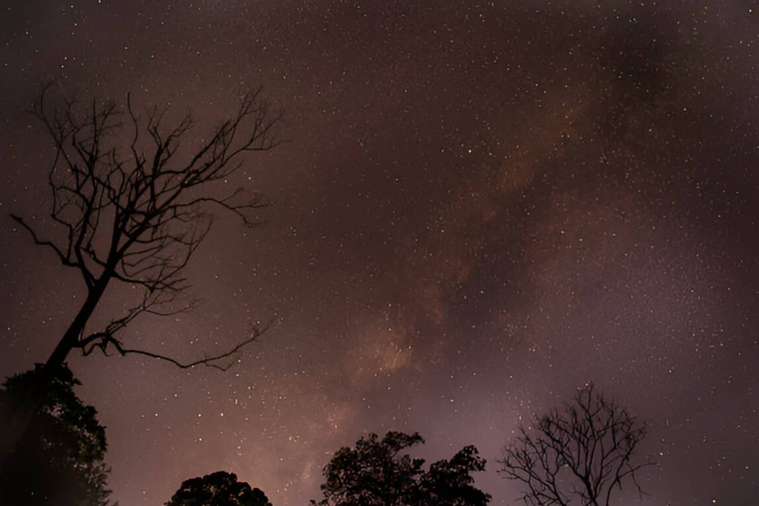 Pachmarhi Astro Tourism Places in India