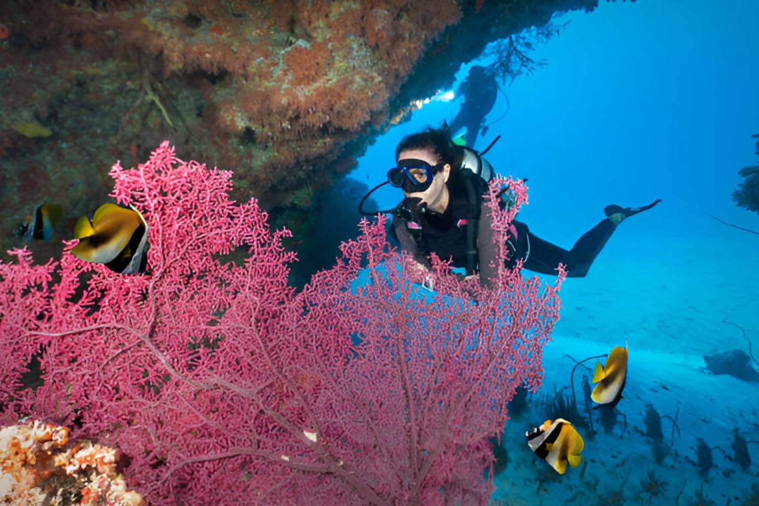 Scuba Diving in Andaman