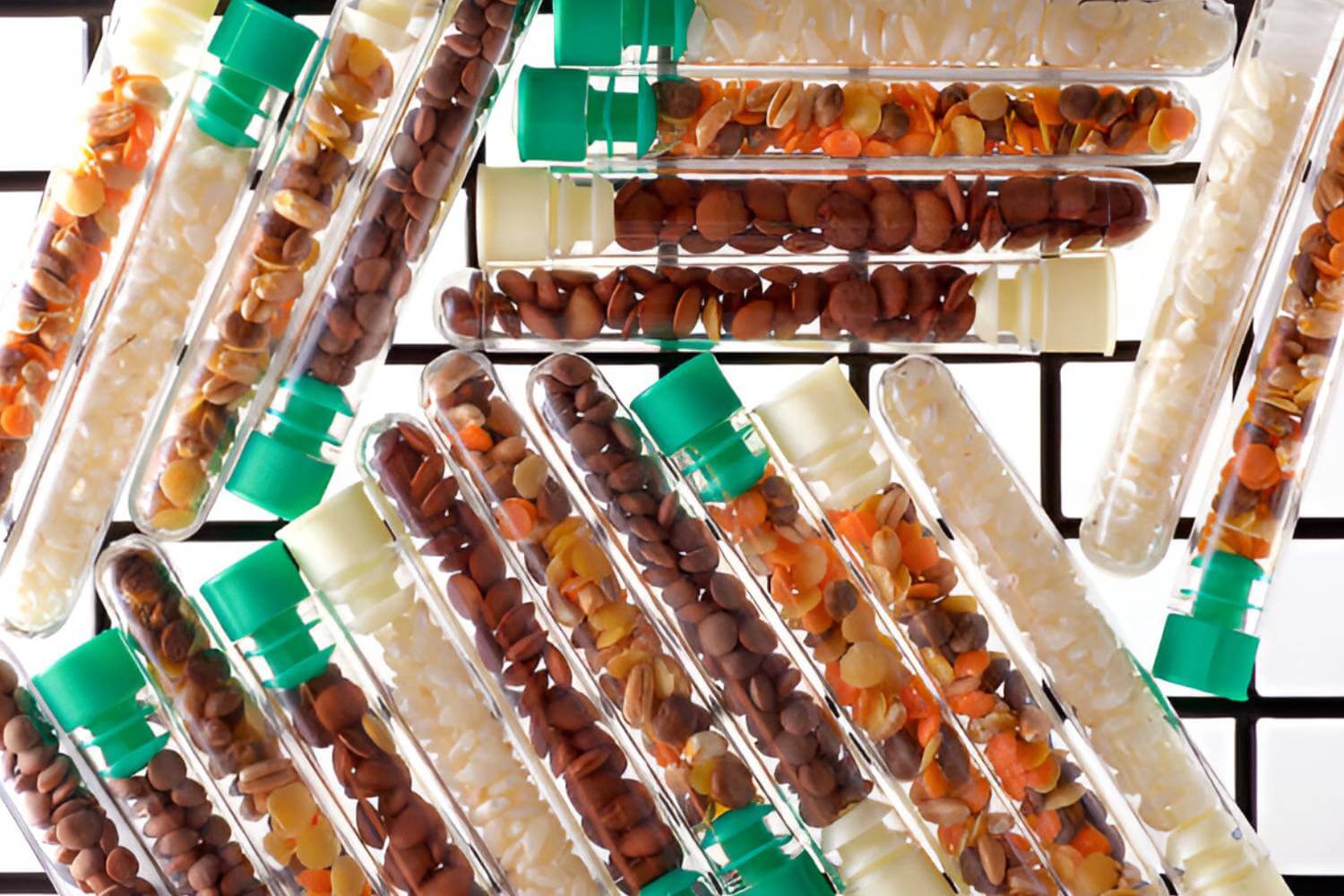 Wildlife Conservation For Preserving Rich Biodiversity