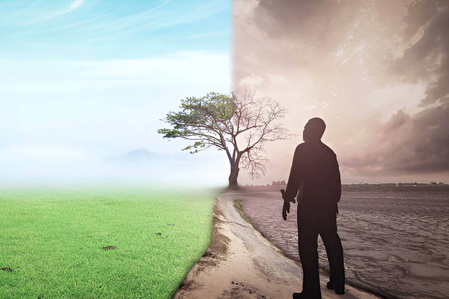 Wildlife Conservation For Protection Against Climate Change