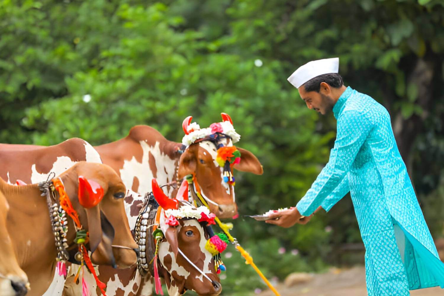 Wildlife Conservation For Socio-Cultural Value