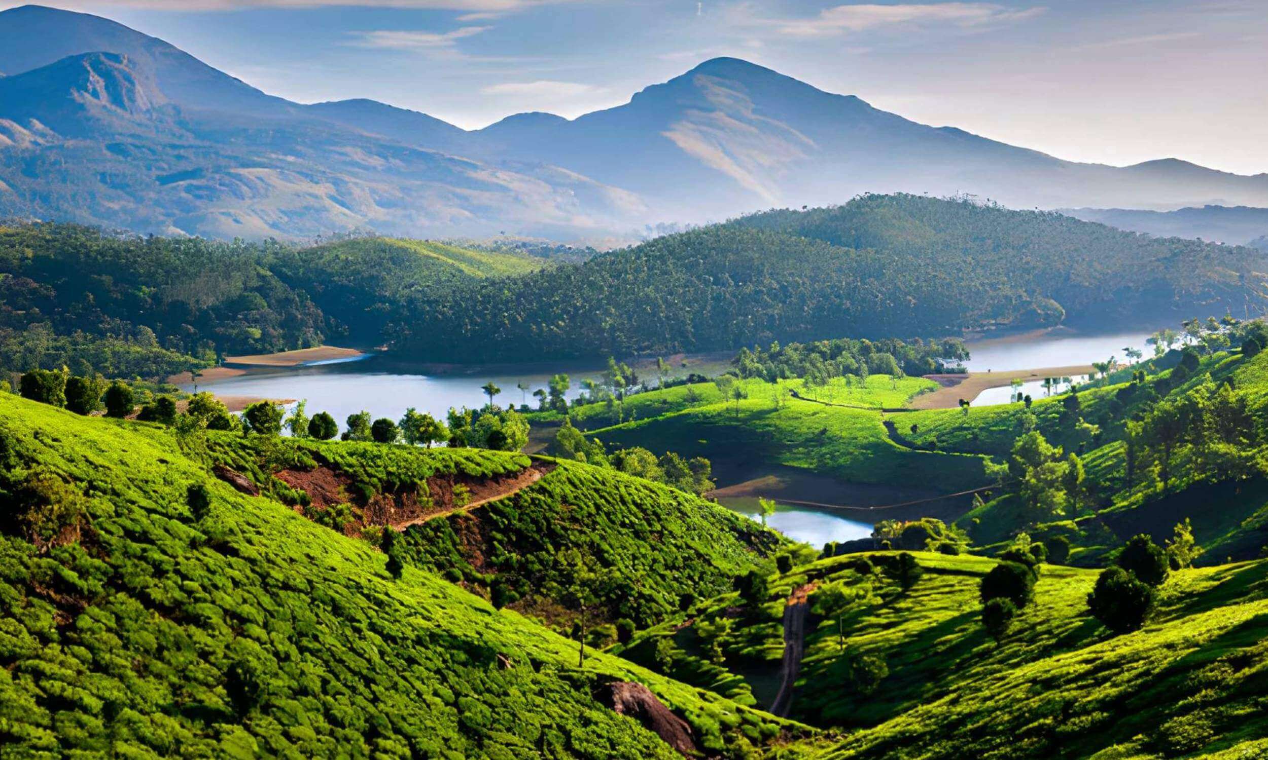 Munnar Kerala-Best Places to Visit in December in India
