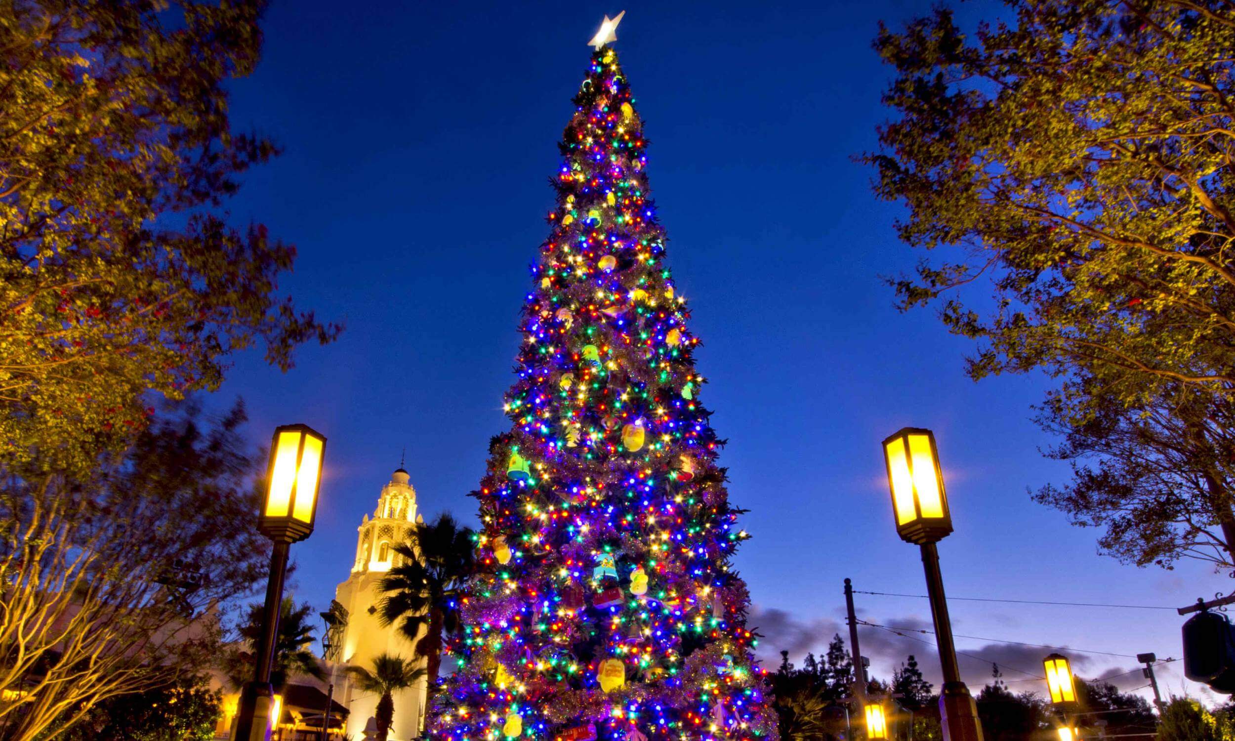 Shillong -Best Christmas Destinations in India