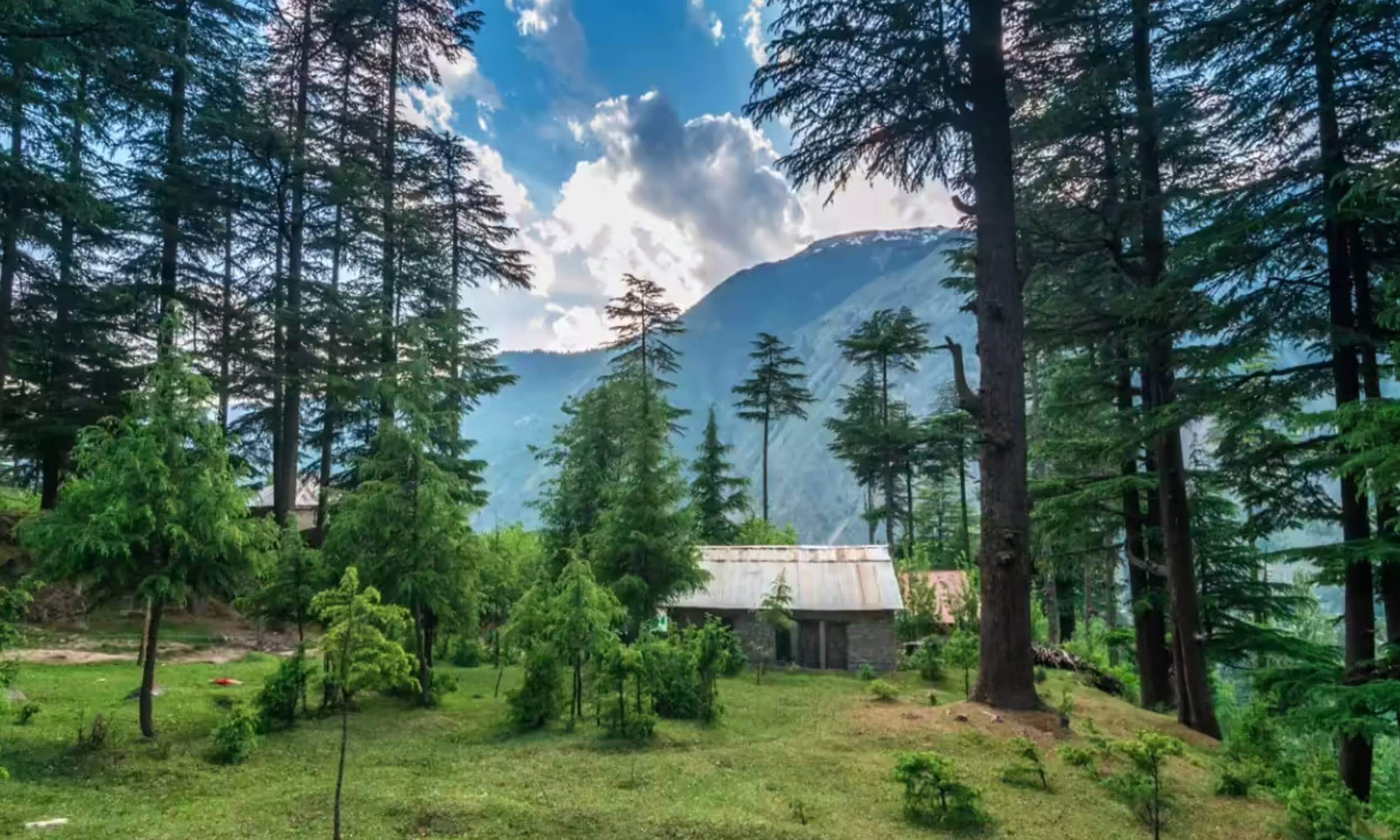 Theog Himachal Pradesh- Best Clean-Air Getaways from Delhi 