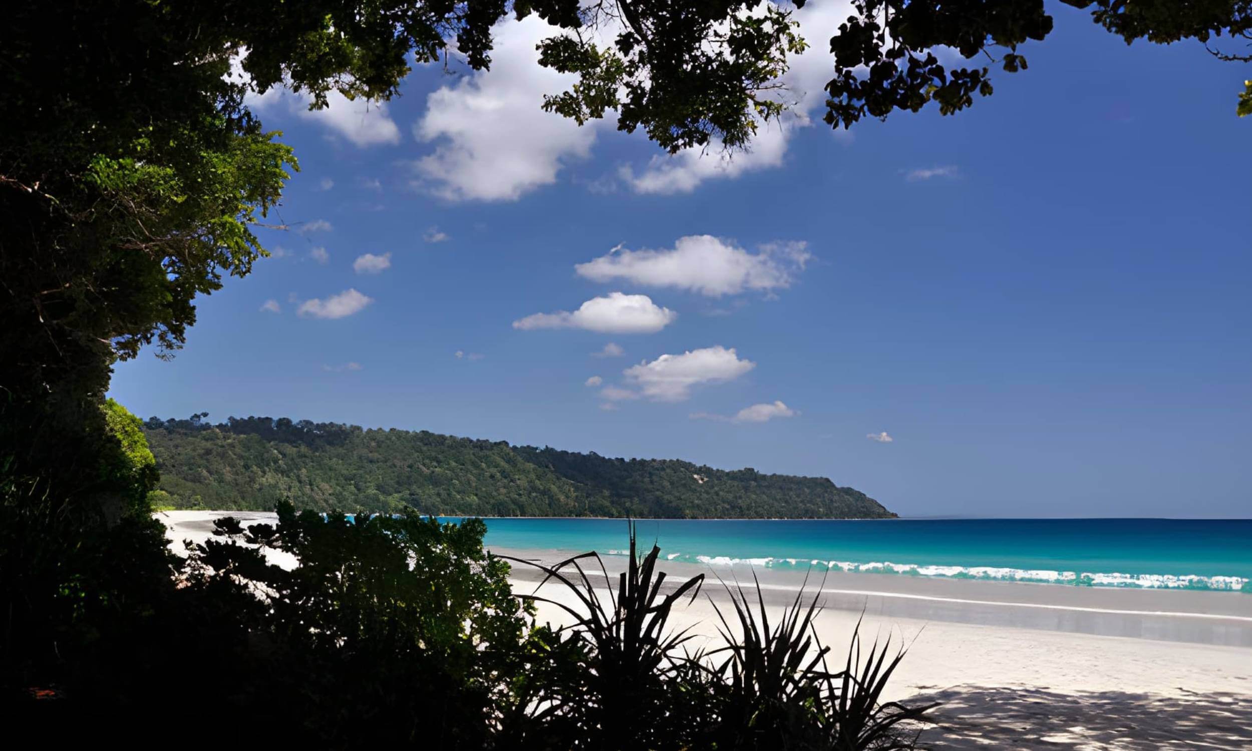 The Ultimate 7-Day Andaman Itinerary