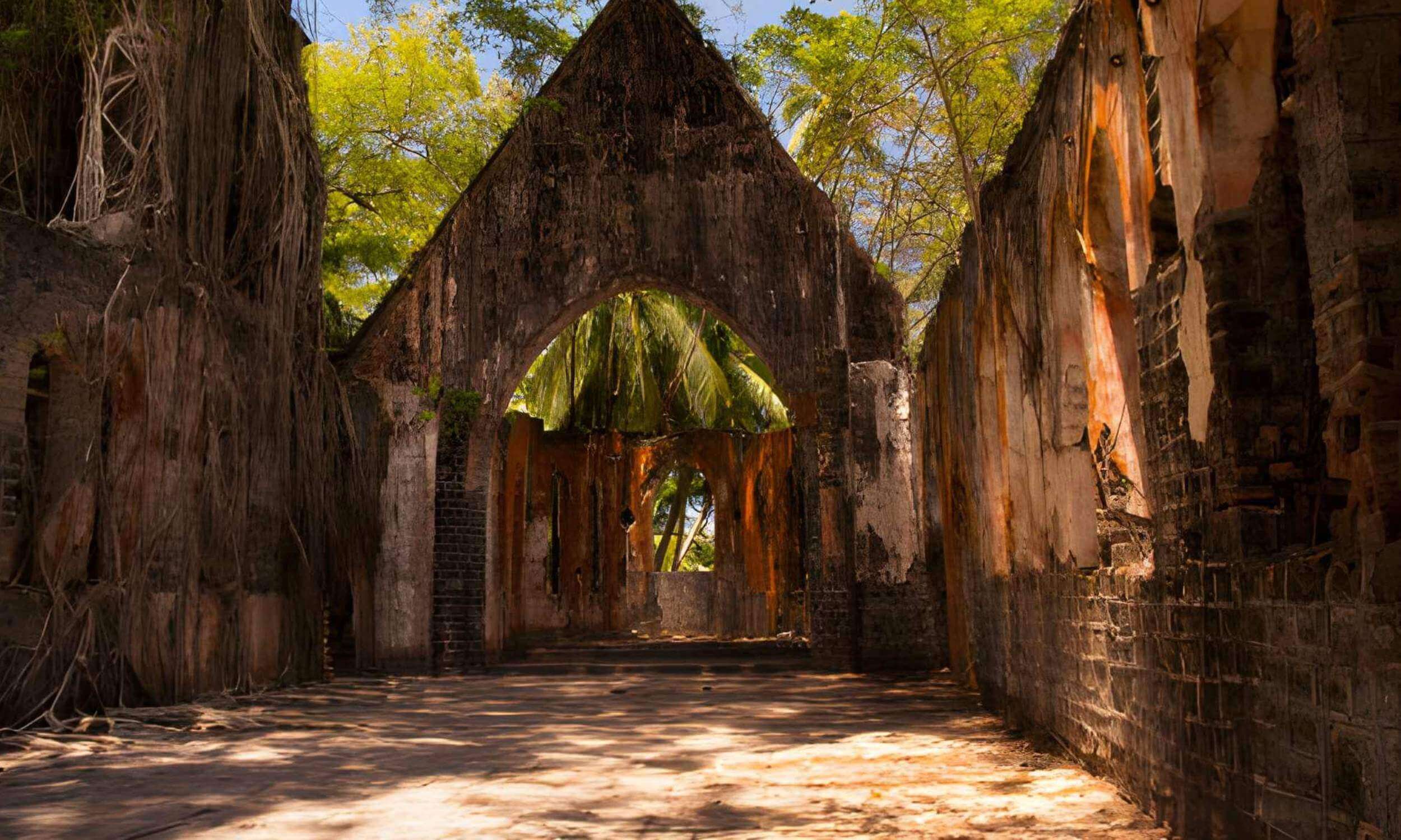 The Ultimate 7-Day Andaman Itinerary