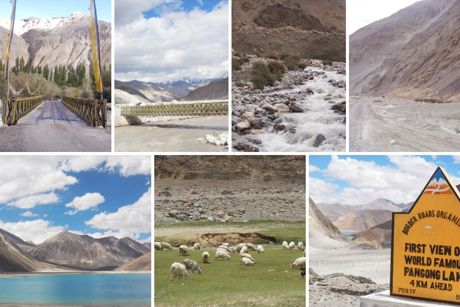 Nubra Valley to Pangong Lake Road Trip Sightseeing