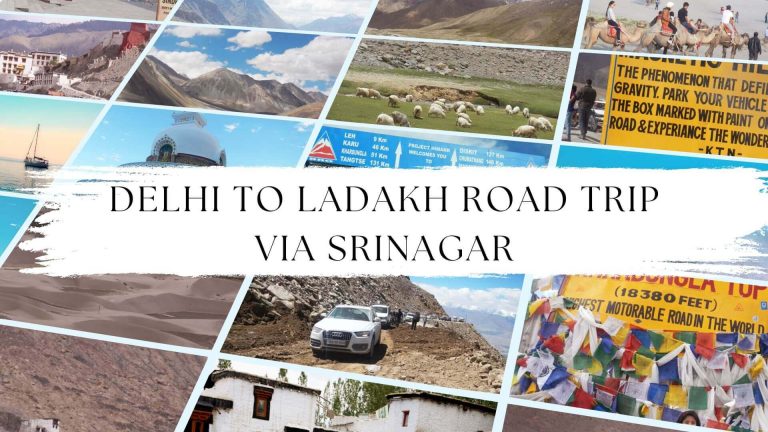 Road Trip from Delhi to Ladakh Via Srinagar