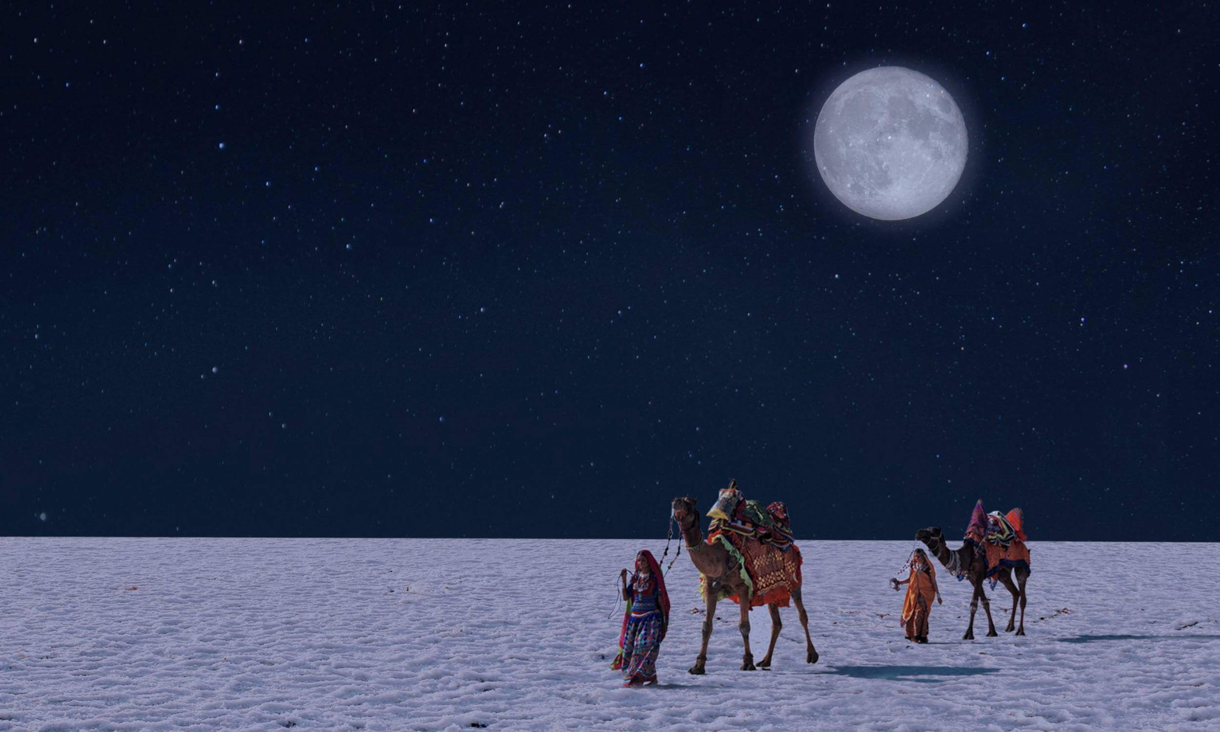 Runn of Kutch Gujarat