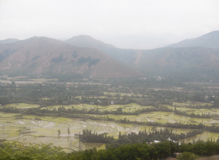 View From Titanic Point