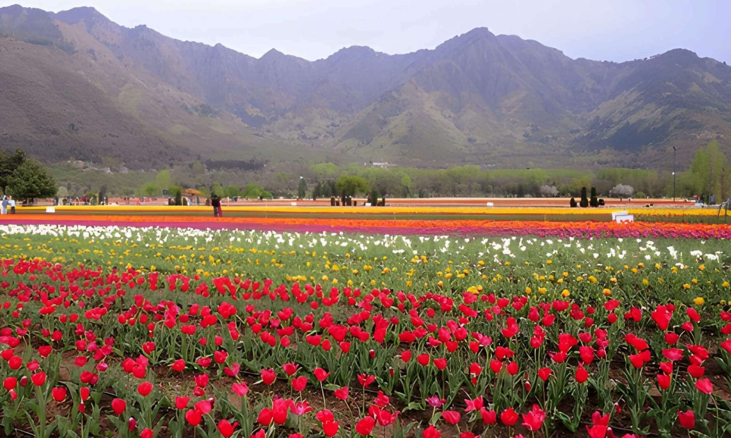 Kashmir-Best Places to Visit in April