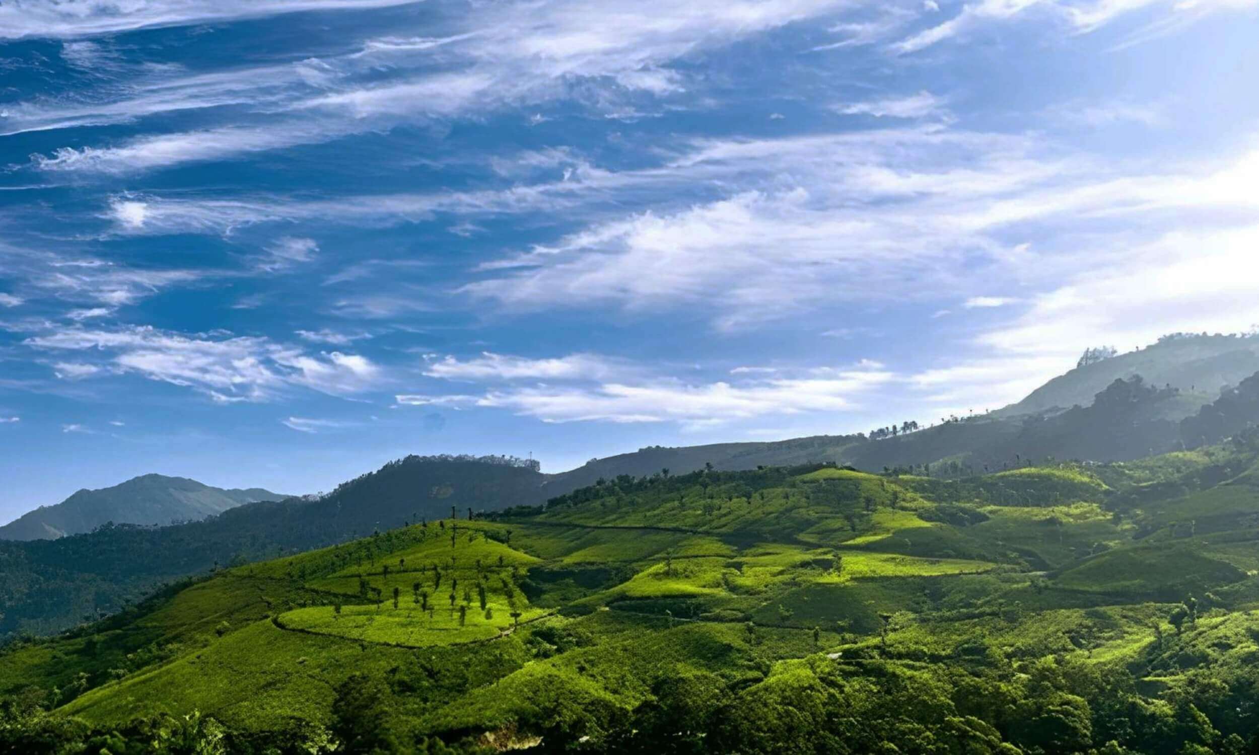 Munnar Kerala-Best Places to Visit in April