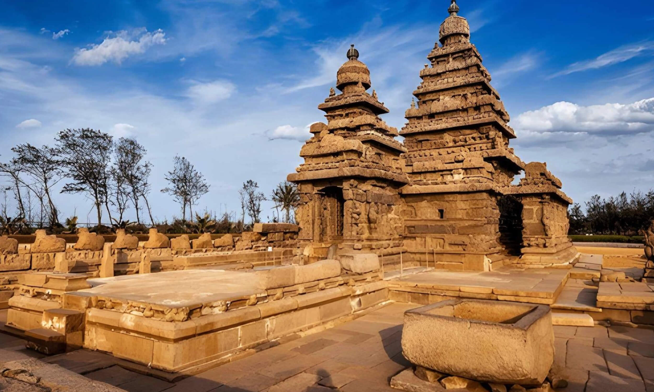 Complete Tamil Nadu Grand Circuit Tour