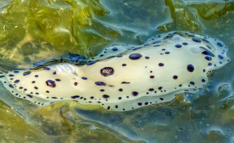 Marine-National-Park-Gujarat