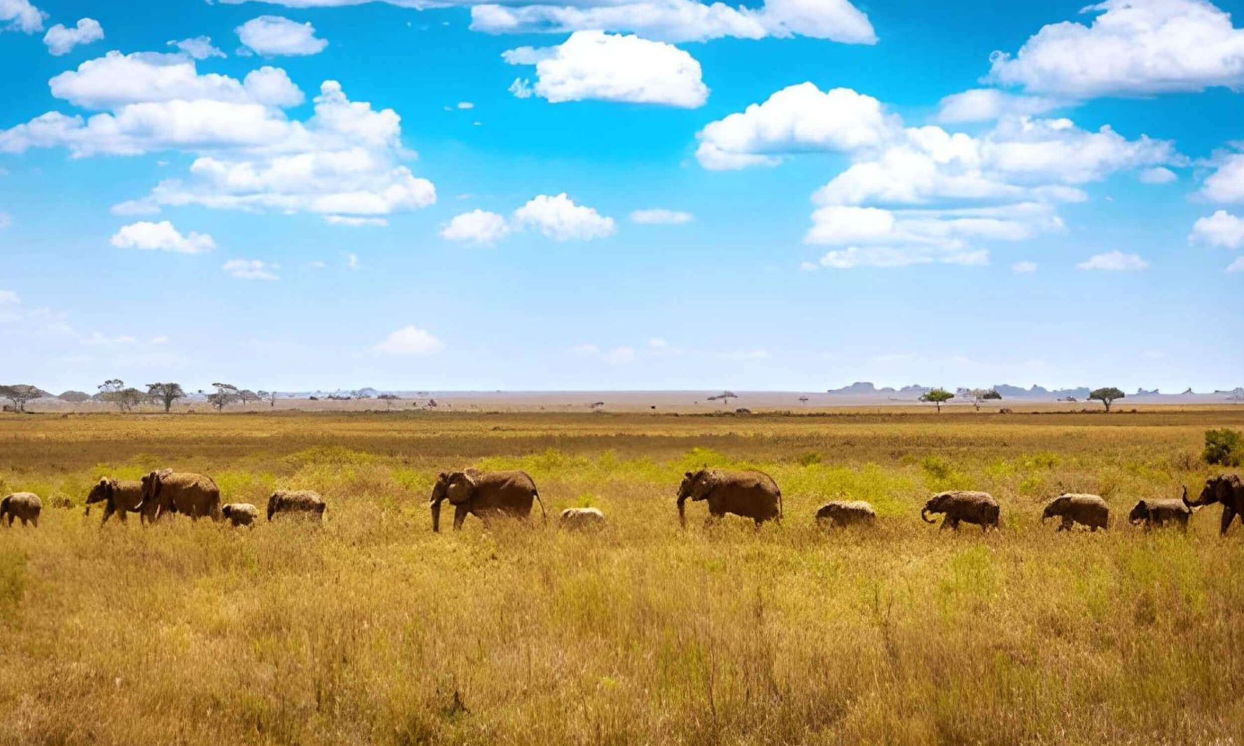Tanzania
