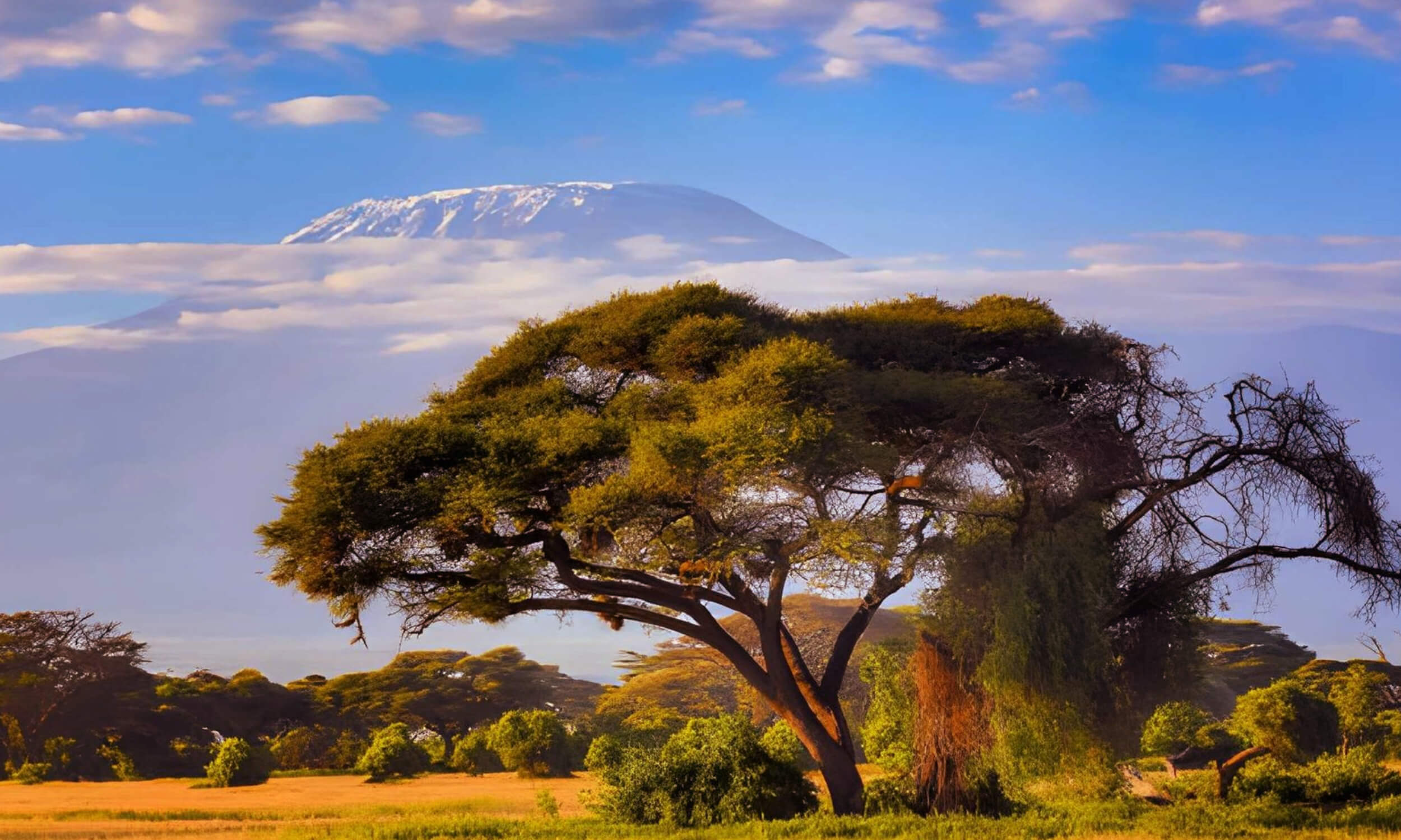 Tanzania-10 Best Places to Visit in July Outside India 
