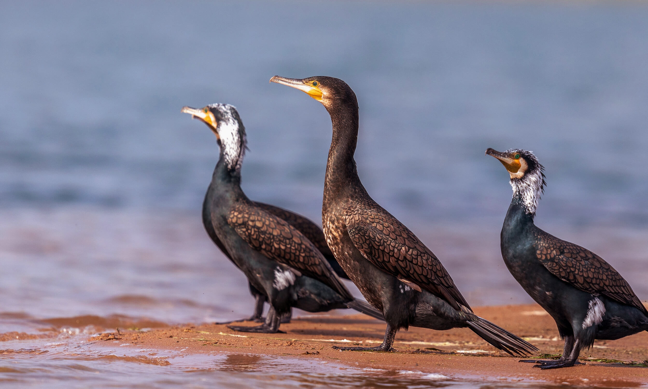 Bharatpur Rajasthan