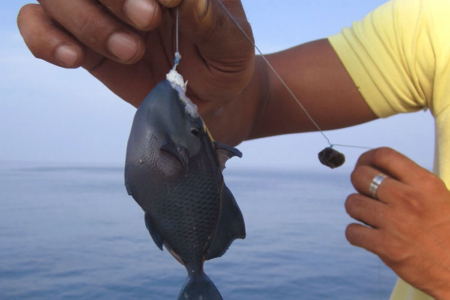 Fishing and Angling in Lakshadweep
