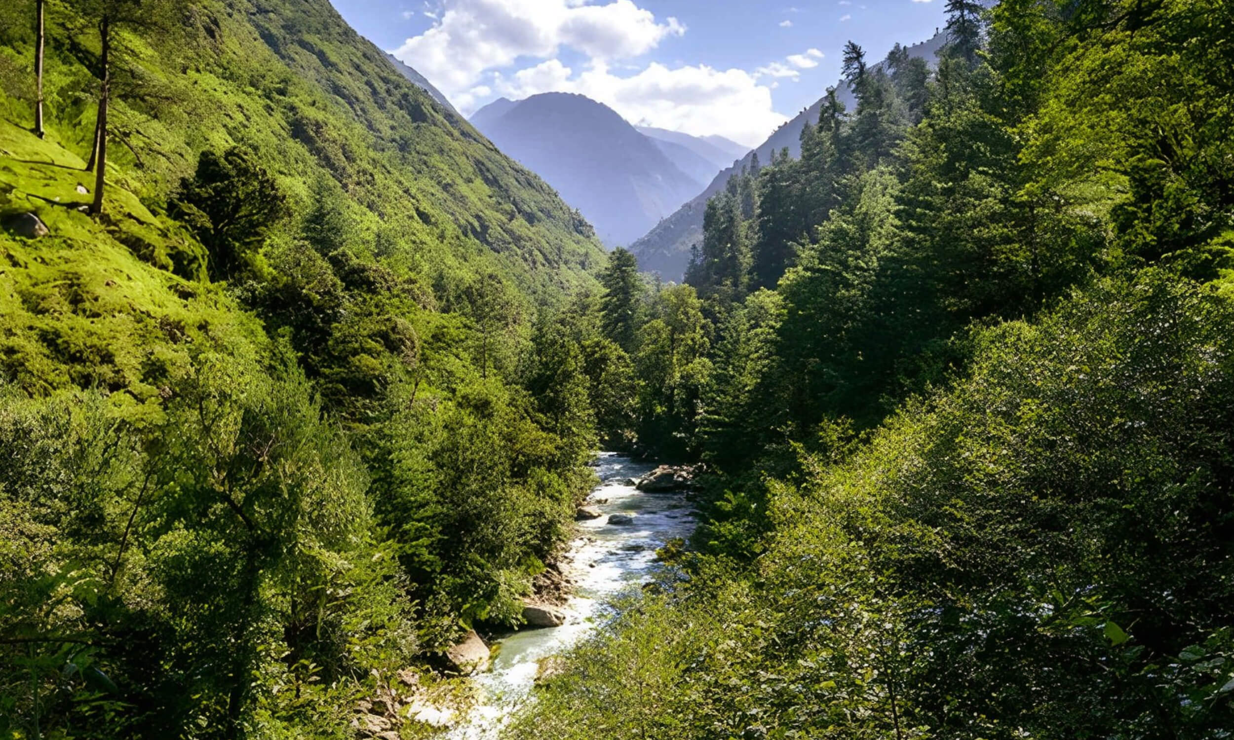 Great Himalayan National Park Himachal Pradesh