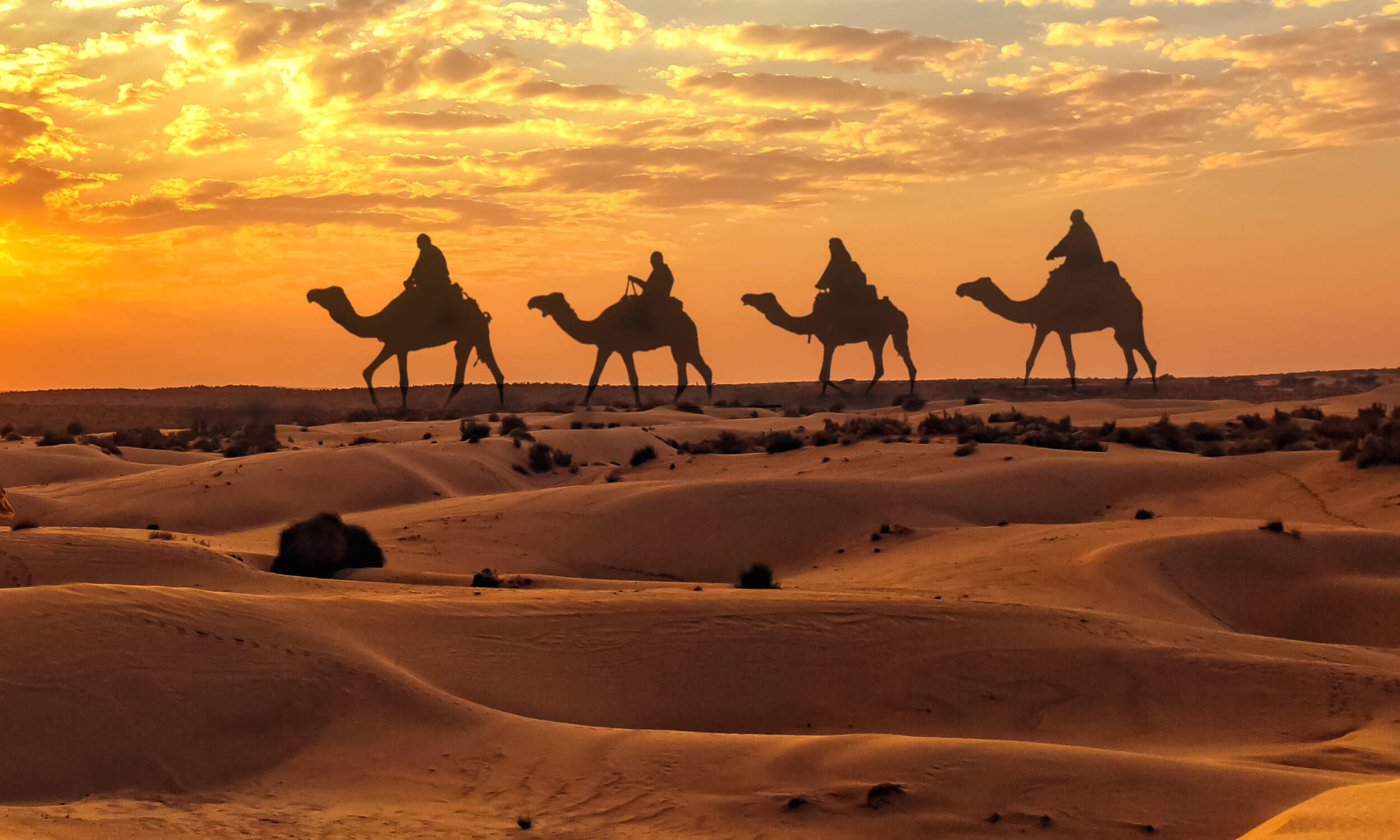 Jaisalmer Desert Photography